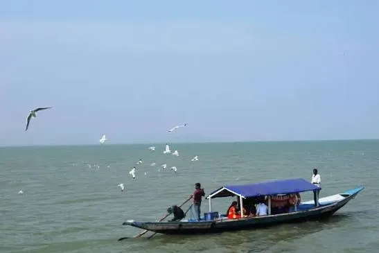 A boat ride with birds overhead
