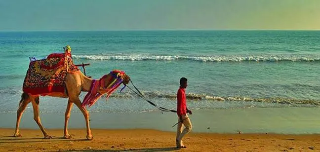 A camel ride along the shore